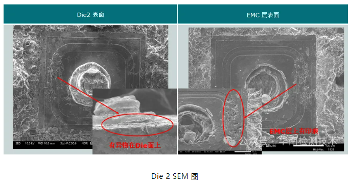 銀枝生長(zhǎng)導(dǎo)致短路失效分析